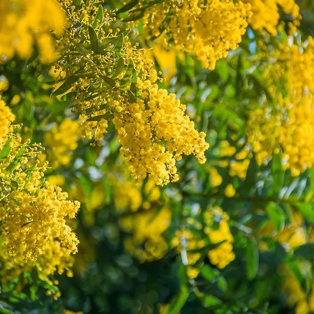 Appartement Lumineux 2 Pièces, Climatisé, Proche à Saint-raphaël - Fr-1-226a-206