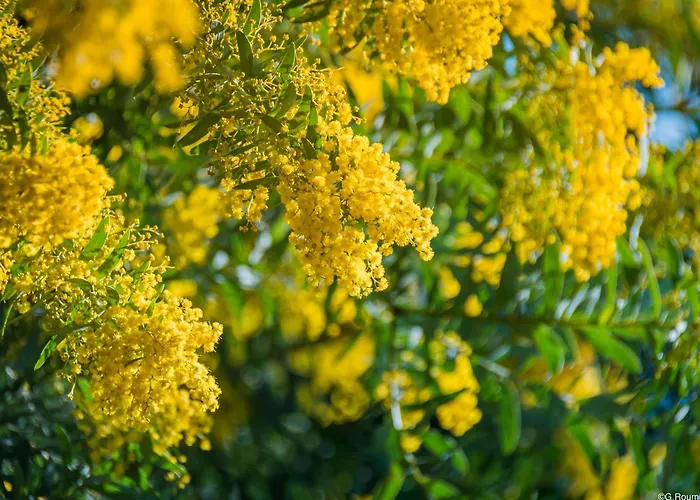 Apartman Lumineux 2 Pieces, Climatise, Proche A Saint-raphael - Fr-1-226a-206